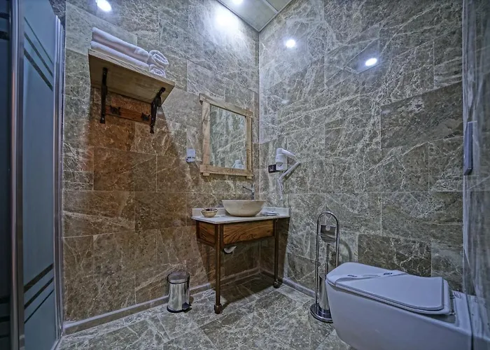 Cappadocia Cave 3* 格雷梅